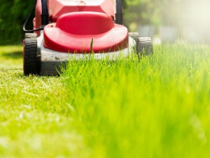 잔디를 깎는 가장 효율적인 방법